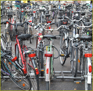 Paseos en Bicicleta por Zaragoza