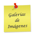 Te contamos todas nuestas actividades en nuestro blog
